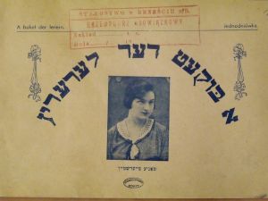 א בוקעט דער לערערין