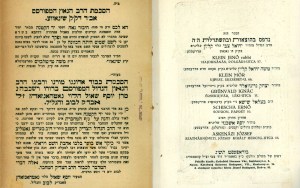 הסכמת הרב דקק שינאווע