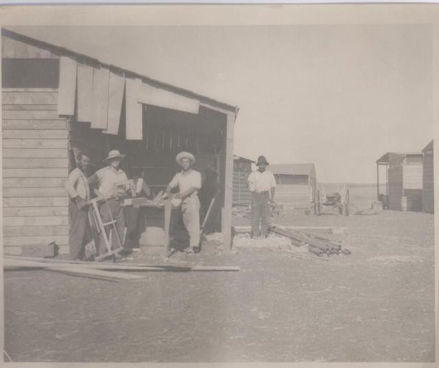 מחנה ישראלד