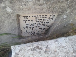 מצבת אלקונין