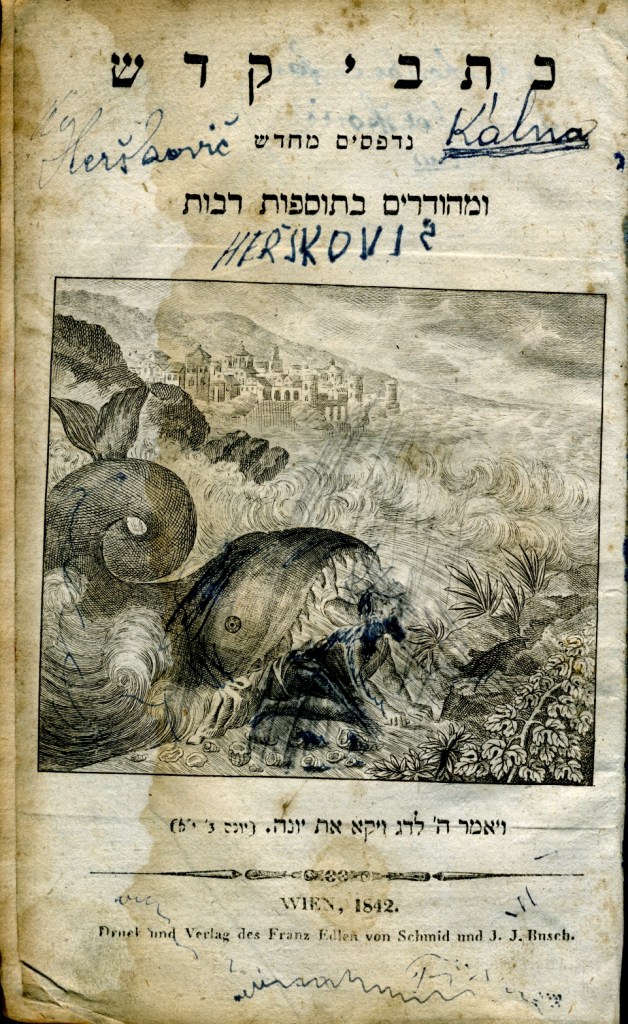 תרי עשר מתורגם אשכנזית ומבואר מחדש