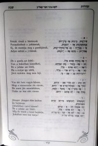 תמונה מס' 11 (1)